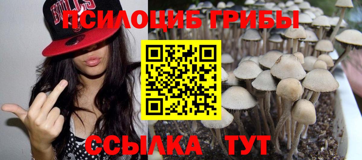 Галлюциногенные грибы мицелий Тобольск